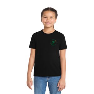 Allmade® Youth Tri-Blend Tee with "Jade Dragons" Logo DTF Left Chest